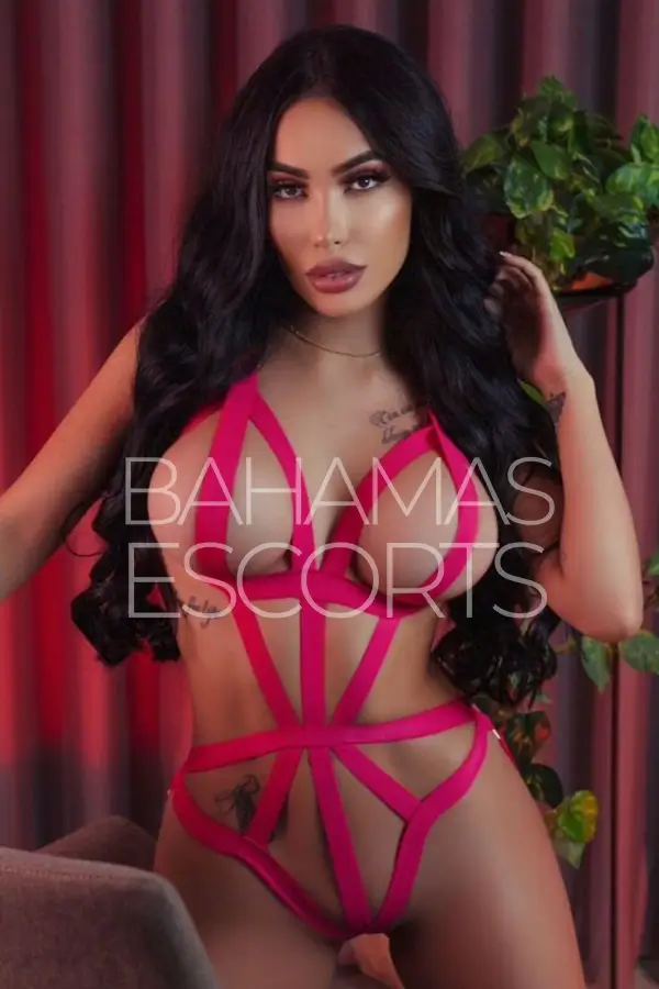 premium escort