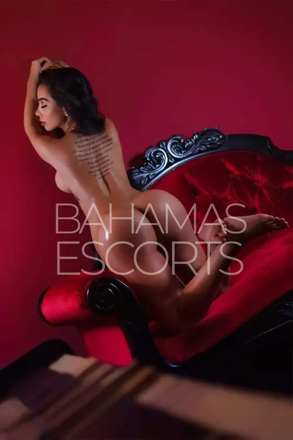 premium escort