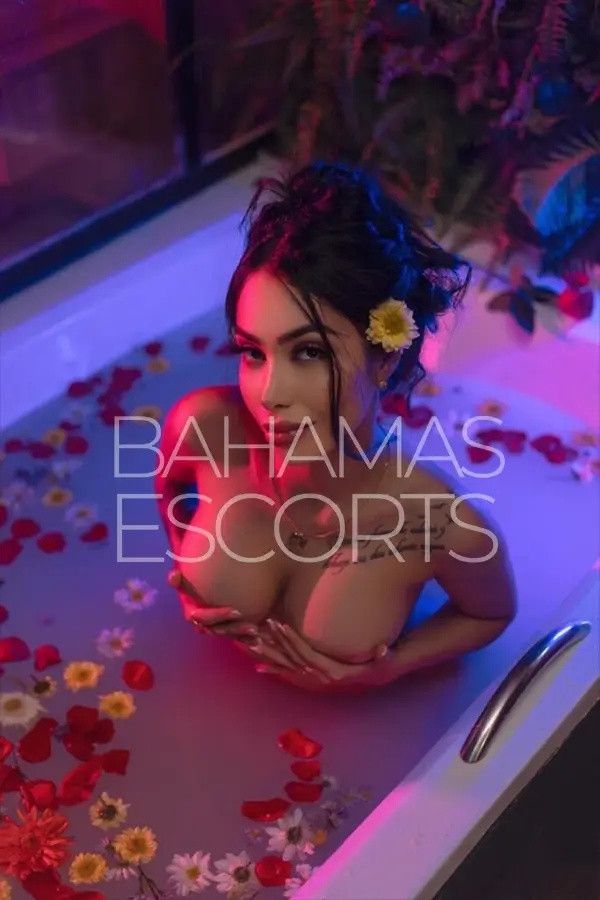 premium escort