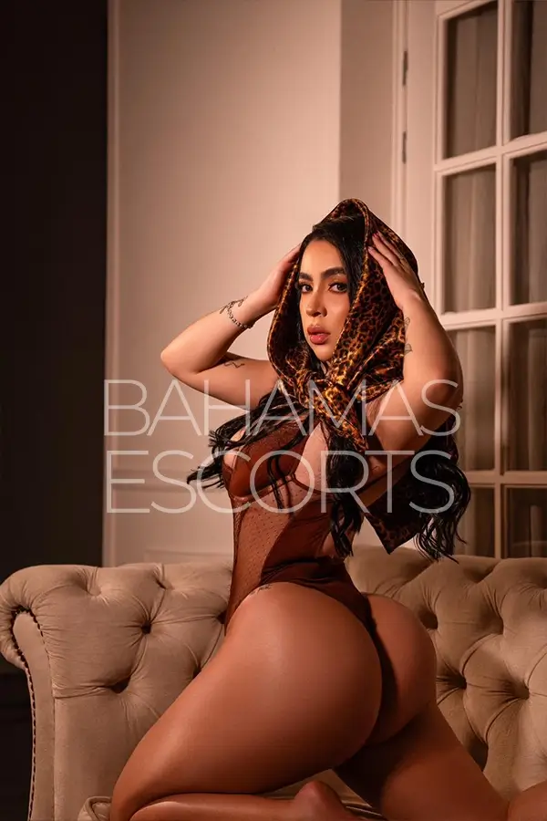 Exclusive luxury escort service with sophisticated decor