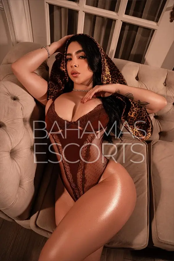 Exclusive luxury escort service with sophisticated decor