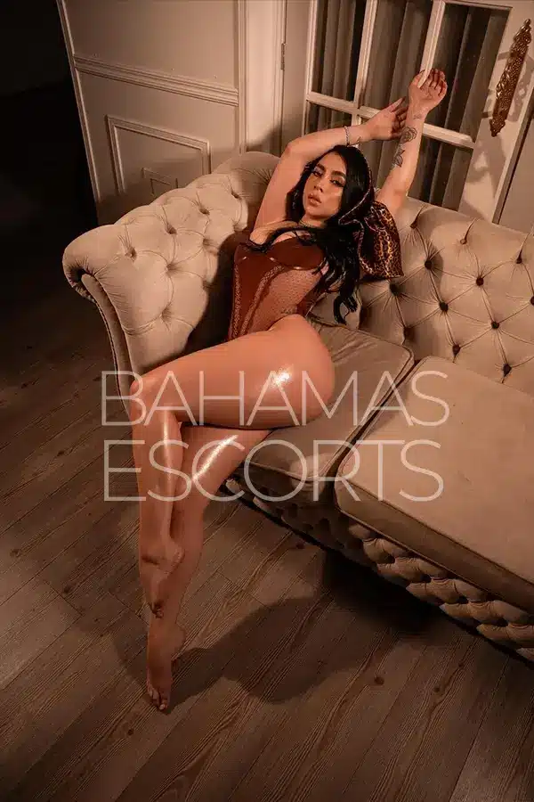 Exclusive luxury escort service with sophisticated decor