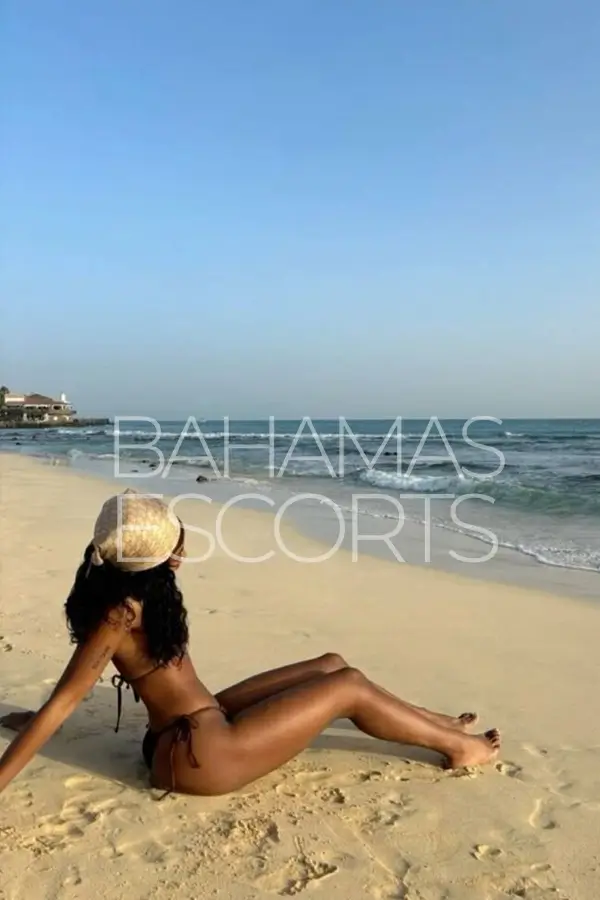Sophisticated female companion in stylish dress for premium escort services