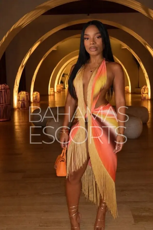 Sophisticated female companion in stylish dress for premium escort services