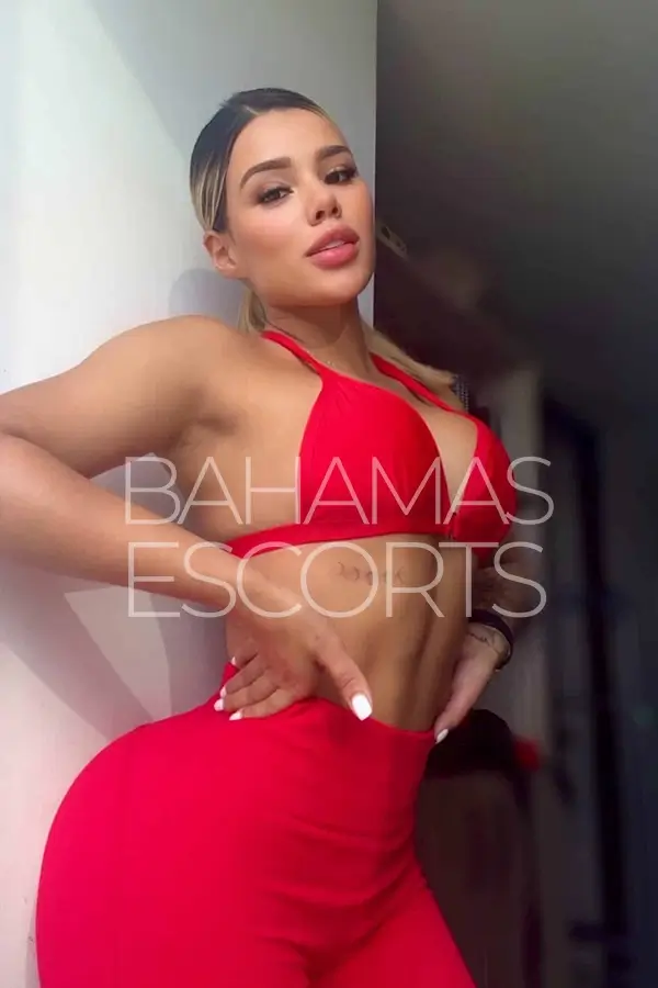 High-end escort agency with classy nightlife aesthetic