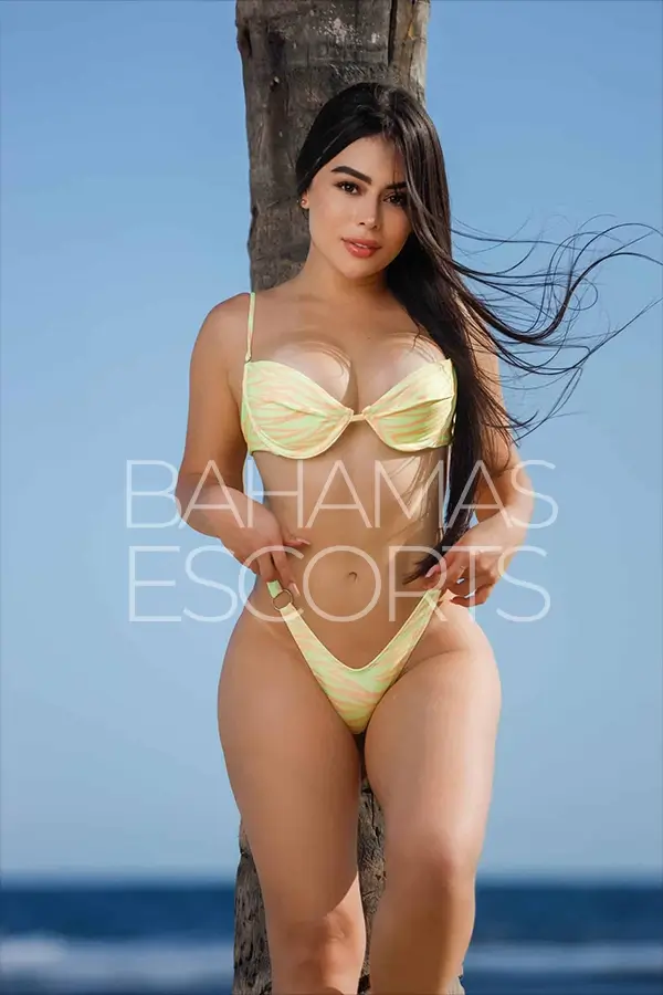Premium escort experience with romantic luxury ambiance